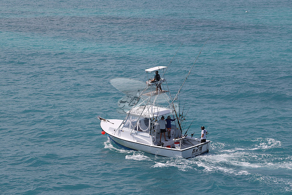 b n m.islamorada fl.3253