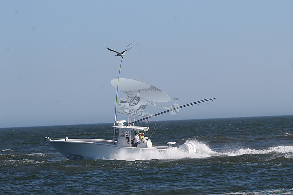 fishbox.yellowfin.7977