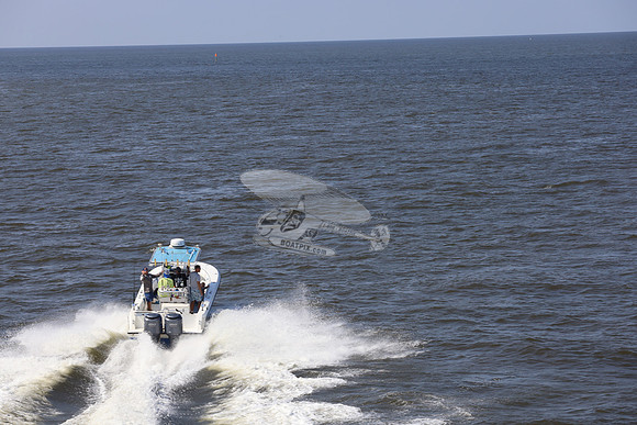 al0065rf.01