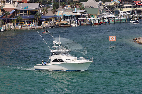100 proof.666035.1