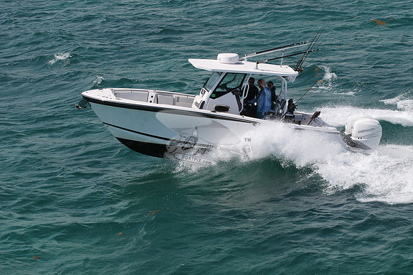 BLACKFIN.15