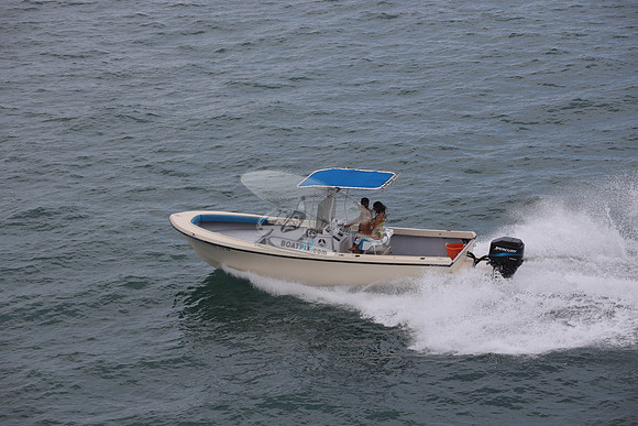 fl1726lv.13