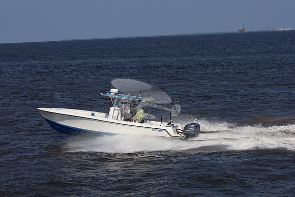 al0065rf.10