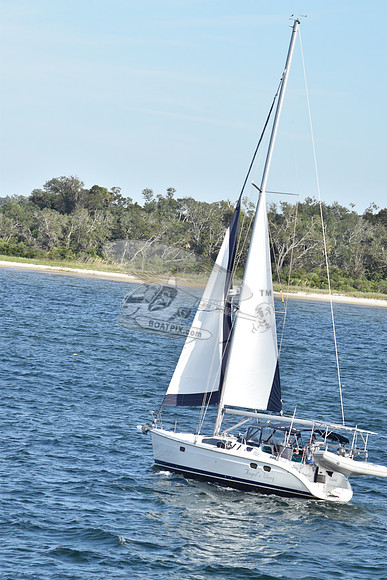 00000.angel's wing.amelia island.2483