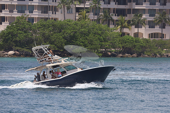 D-SOUTH.SCOUT.08