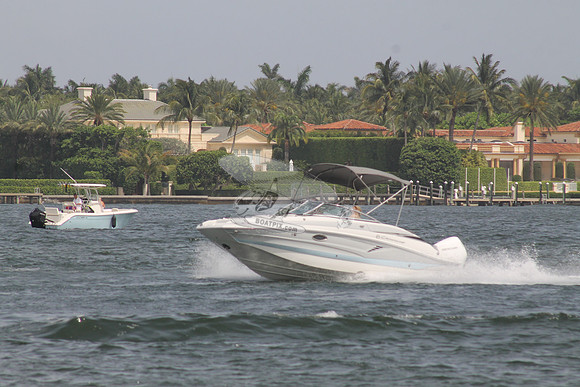 CROWNLINE.GRAY TOP.02