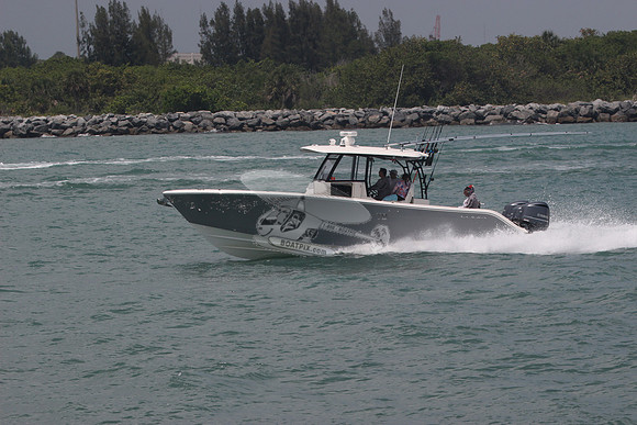 COBIA.GRAY.32