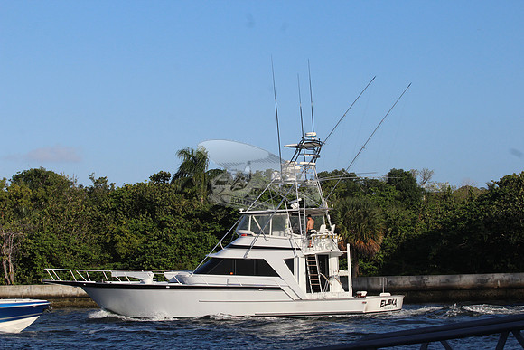 ELSKA.BOCA RATON FL.8976