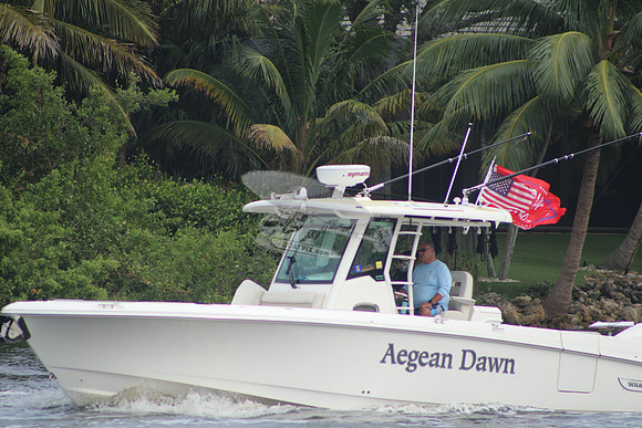 AEGEAN DAWN.52