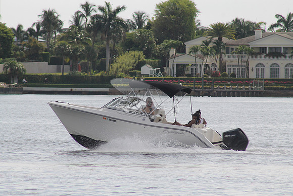FL2608SR.13