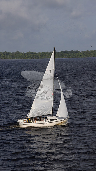 7.FL6271CP.SUNBIRD.09