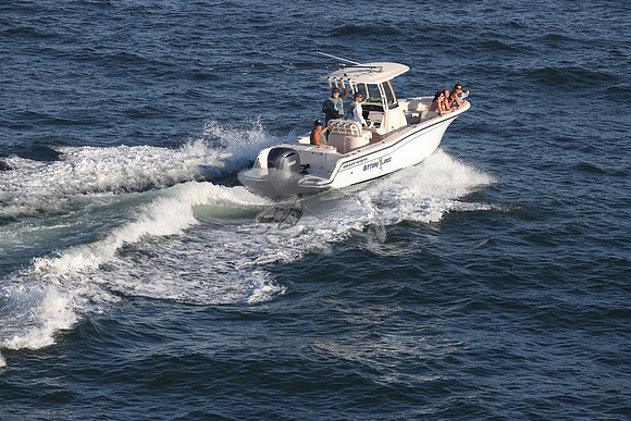 dl8276an.nittony lines.9469