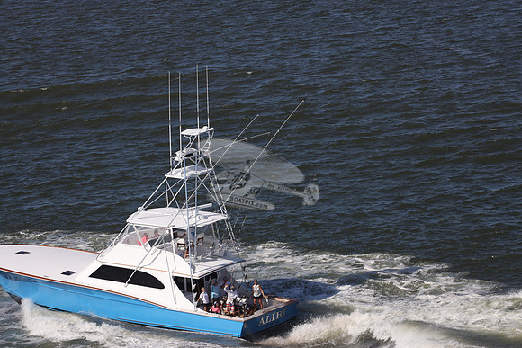 ALIBI.MILL POINT NC.02