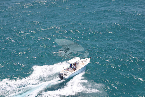 FL7910SW.15