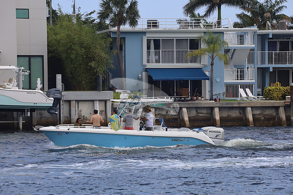 EVERGLADES.BLUE.132