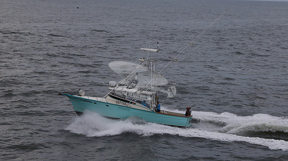 697155.hull's sea lover.ponce inlet fl.9443