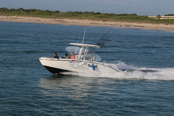 fl0335tf.4