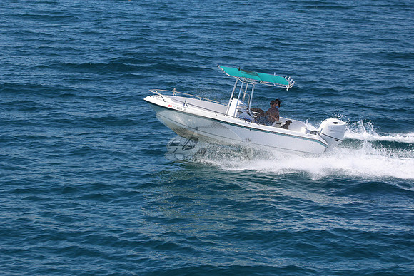fl0321jy.5982
