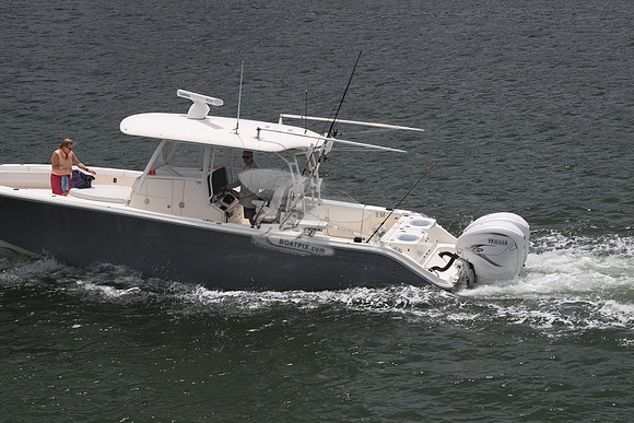 cobia 350.gray.1