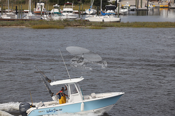 NC5632EK.WAVE DANCER.3