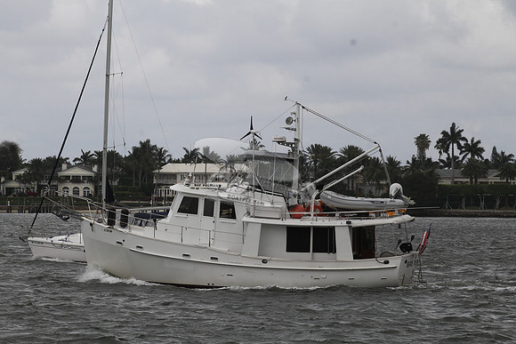 BAY PELICAN.FL7311.....04