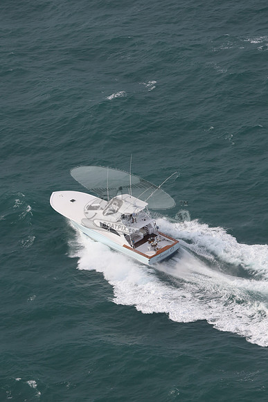 Annie O.14
