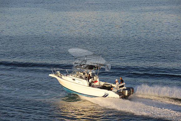big boys toy.cobia.0636