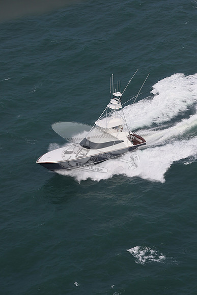 Amigo.7907
