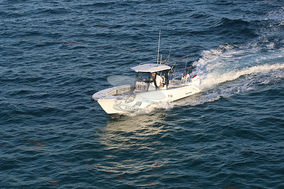 cape horn.2 racing 450.4787
