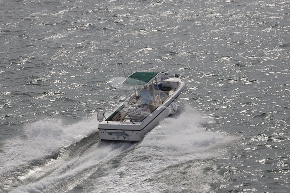 DL0010E.15