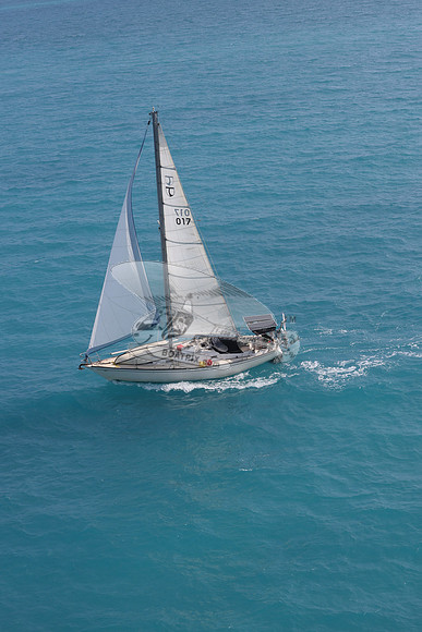 017.floren c.3884