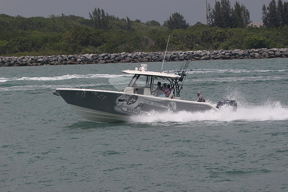 COBIA.GRAY.33