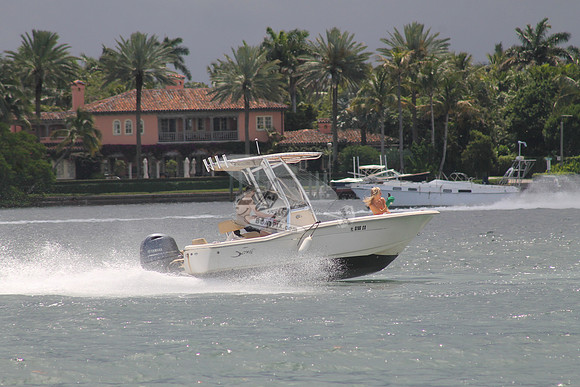 FL0786SX.09