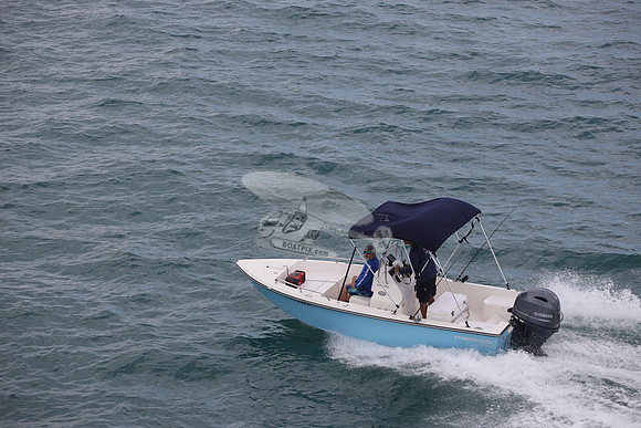 fl0786rt.11