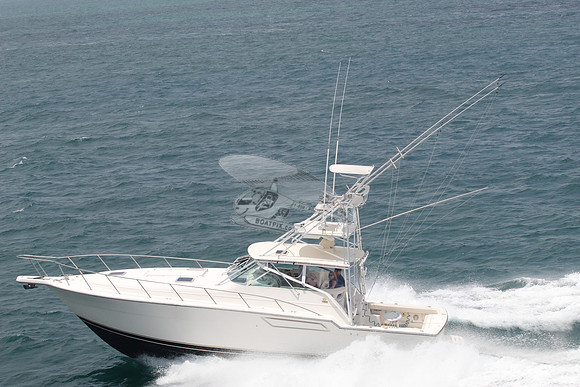 AMADEUS.KEYSTONE PT FL.24