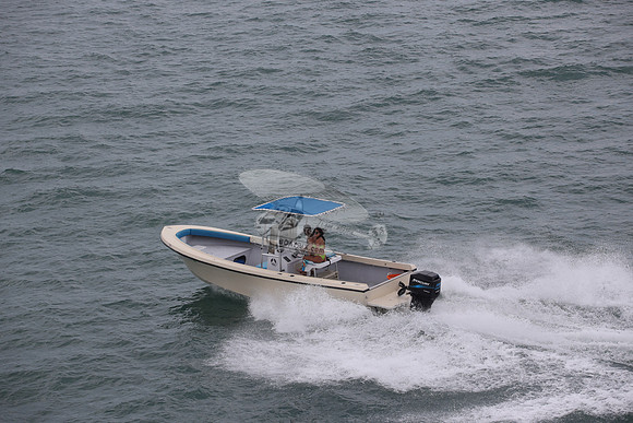 fl1726lv.06