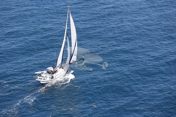 ELIZABETH ANN.ROYAL OAK MI.36