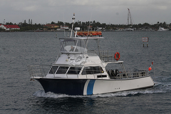 AURELIA.15