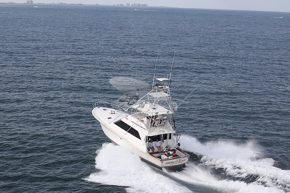 american lady.ocean view de.2195