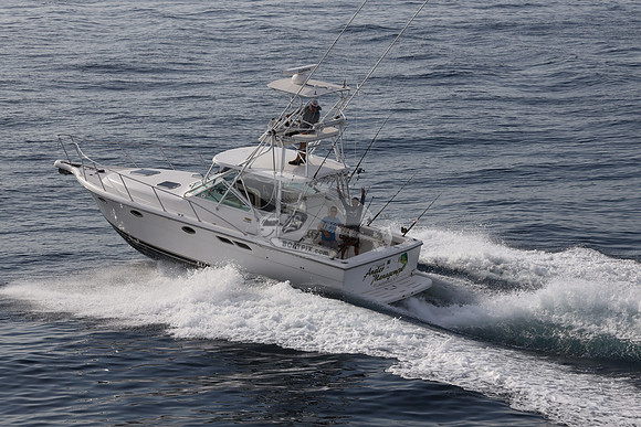 ANGLER MANAGEMENT.FTL.TIARA.11