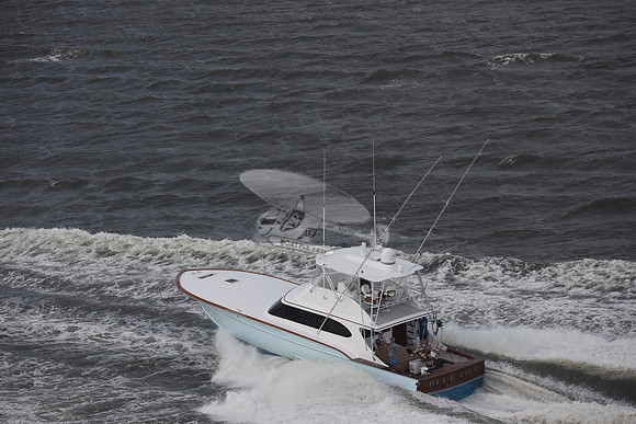 blue bill.wrightsville beach.3646