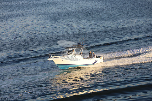 big boys toy.cobia.0632