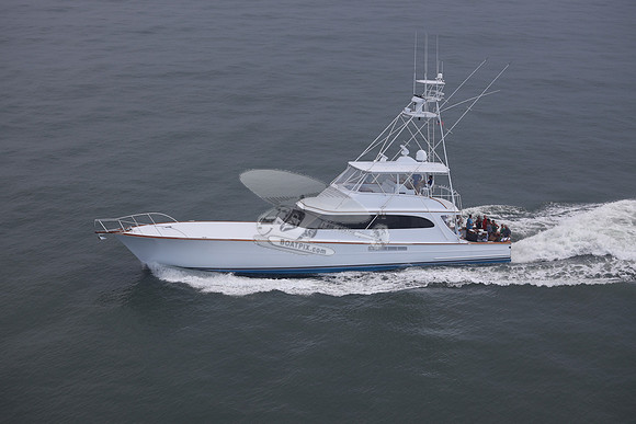 BEAST.PALM BEACH FL.087