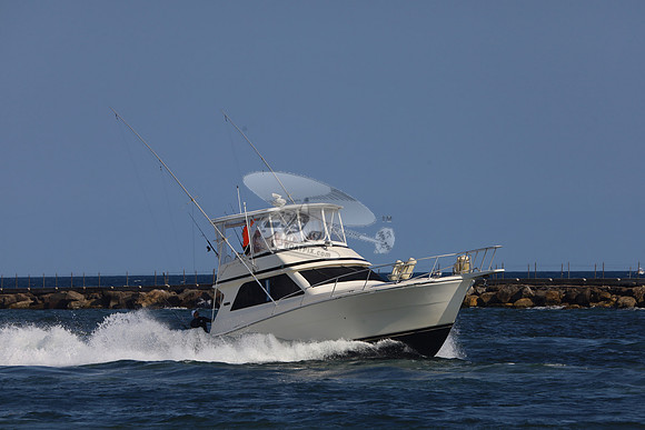COURT SHIP.POMPANO FL.04