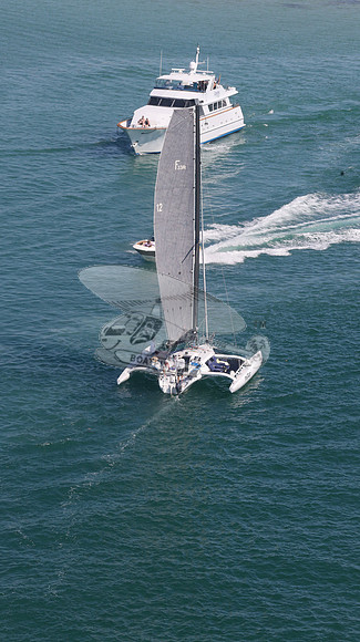 12.FL7451RF.TRIPLE THREAT.9324