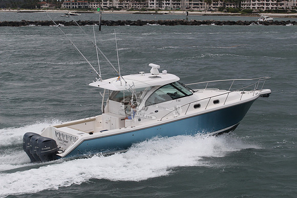 ENDLESS SUMMER.COCO GRV FL.PURSUIT38.4
