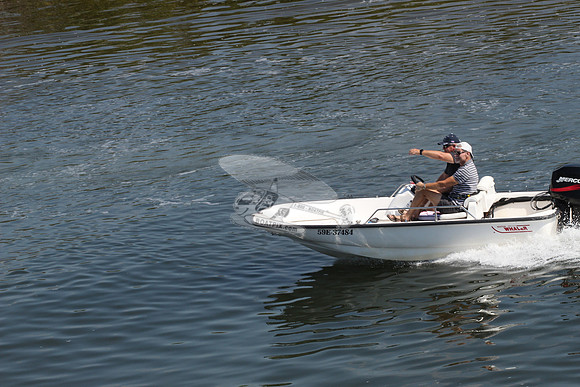 59E37484.BOSTON WHALER.7981