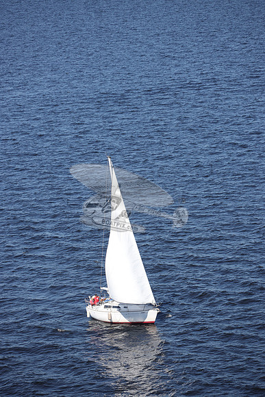 00000.FL6014SL.TAZZ.3737