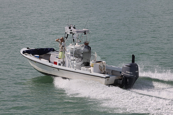 FL0568ES.01