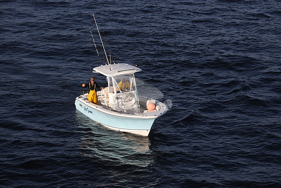 NC5632EK.WAVE DANCER.354